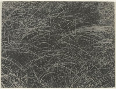 Ekvivalent, 1927. od Alfred Stieglitz