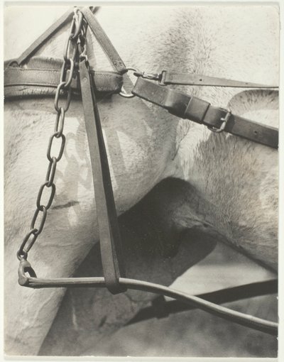 Ekvivalent, Duchovní Amerika od Alfred Stieglitz