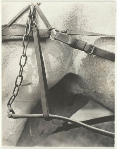 Ekvivalent, Duchovní Amerika, 1923. od Alfred Stieglitz