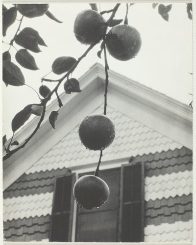 Gable and Apples, 1922. od Alfred Stieglitz