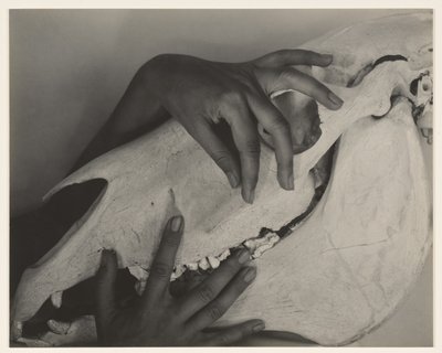  od Alfred Stieglitz