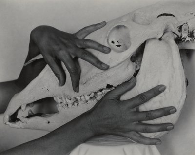  od Alfred Stieglitz