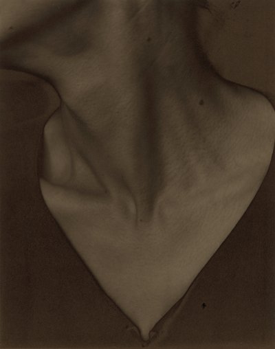 Georgia O’Keeffe – Krk od Alfred Stieglitz