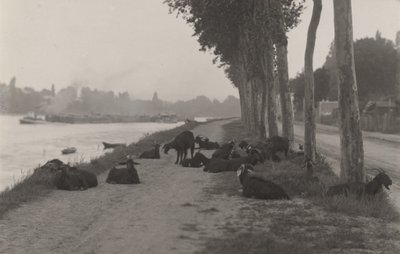 Kozy za Paříží od Alfred Stieglitz