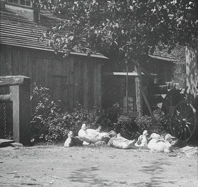 Gutach, 1894. od Alfred Stieglitz