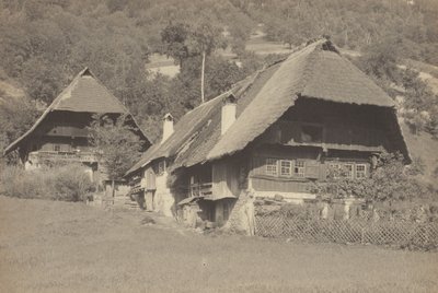 Domy v Gutachu od Alfred Stieglitz