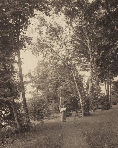  od Alfred Stieglitz