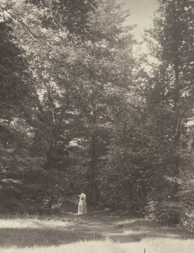  od Alfred Stieglitz