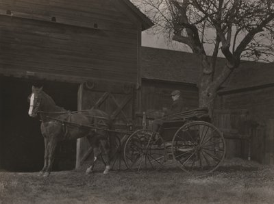 Kůň a kočár od Alfred Stieglitz