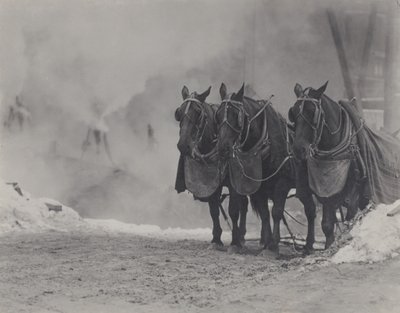 Koně, New York od Alfred Stieglitz