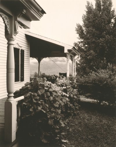 Dům a vinné listy od Alfred Stieglitz