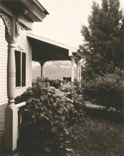Dům a hroznové listy, 1934. od Alfred Stieglitz