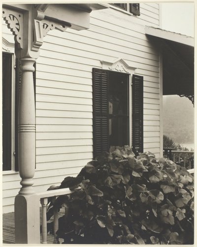Dům a hroznové listy, 1934. od Alfred Stieglitz