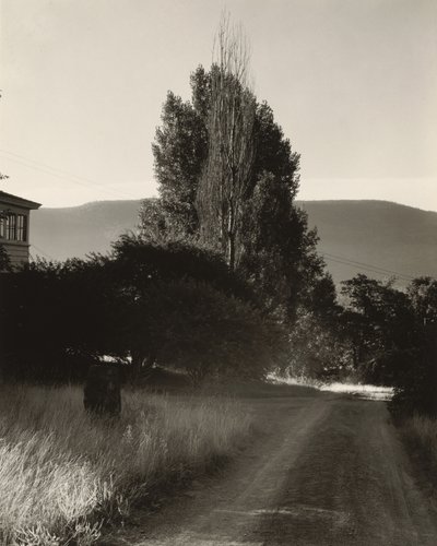  od Alfred Stieglitz