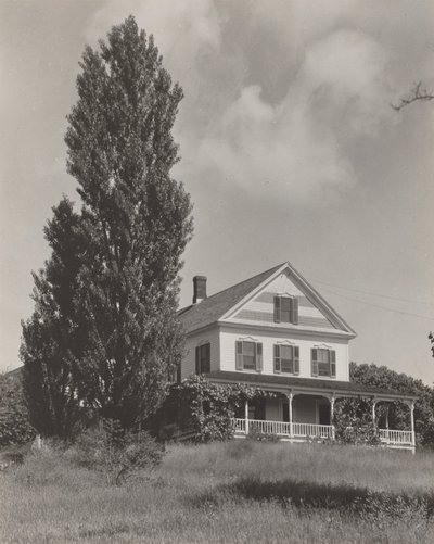 Dům na kopci, Lake George od Alfred Stieglitz