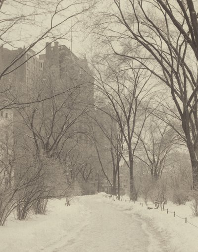 V parku od Alfred Stieglitz