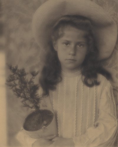 Kitty – Květináč od Alfred Stieglitz