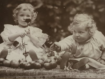 Neteře - Flora držící květinu a Hedwig, c. 1896. od Alfred Stieglitz