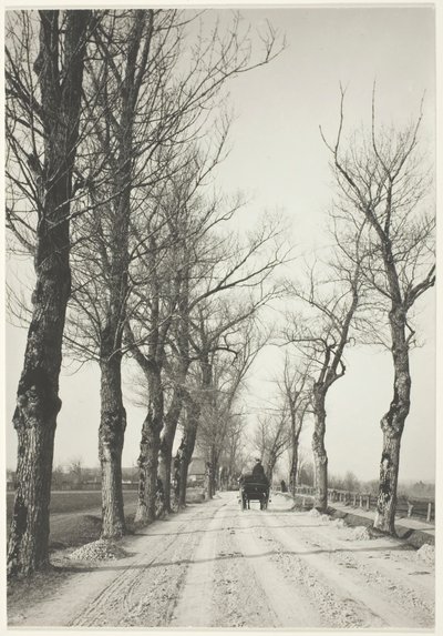 Listopadové dny, 1887, vytištěno 192039. od Alfred Stieglitz