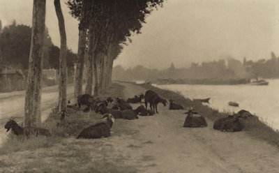 Na Seině – nedaleko Paříže od Alfred Stieglitz