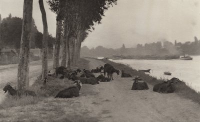  od Alfred Stieglitz