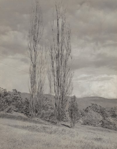  od Alfred Stieglitz