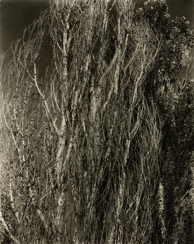 Topoly — jezero George od Alfred Stieglitz