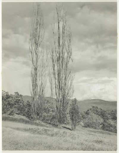 Topoly — jezero George od Alfred Stieglitz