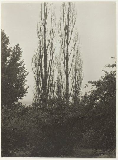 Topoly - jezero George od Alfred Stieglitz