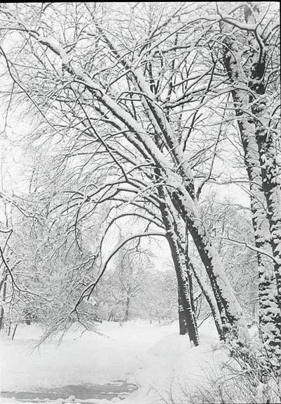 Snowscape, Berlín, 188892. od Alfred Stieglitz