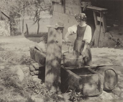 Sunlight Effect, Gutach od Alfred Stieglitz