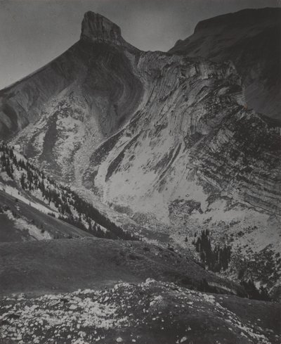  od Alfred Stieglitz