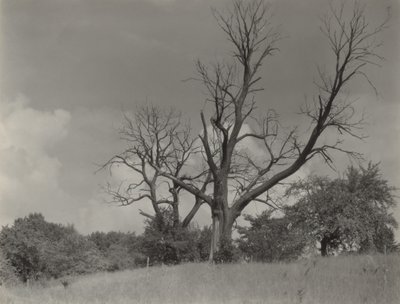  od Alfred Stieglitz