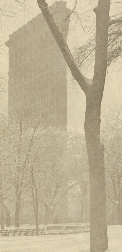 Plochá žehlička od Alfred Stieglitz