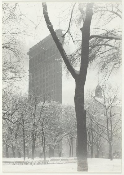 Flatiron, 1903, vytištěno 192039. od Alfred Stieglitz