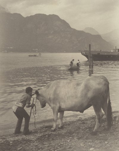 Nechtěná koupel od Alfred Stieglitz