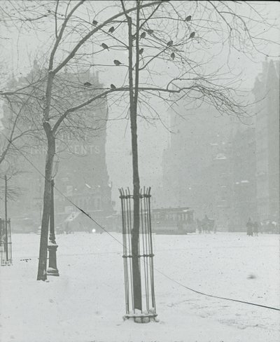 Strom ve sněhu, New York City, 190002. od Alfred Stieglitz