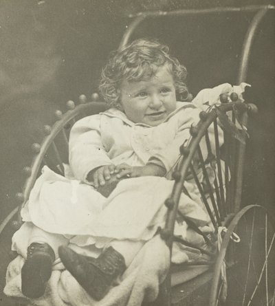 Bez názvu Howard Schubart in Carriage, 1893. od Alfred Stieglitz