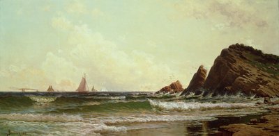 Cliffs at Cape Elizabeth, Portland Harbour, Maine, 1882 od Alfred Thompson Bricher