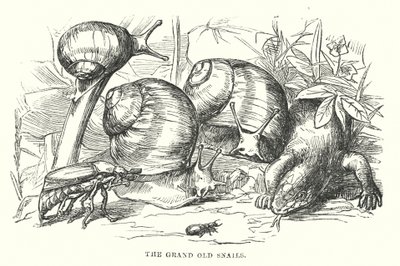  od Alfred Walter (after) Bayes