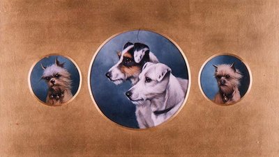 Foxteriéři a jorkšírští teriéři od Alfred Wheeler