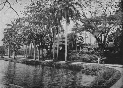 Kandy - malebný kout jezera, c1890, 1910 od Alfred William Amandus Plate