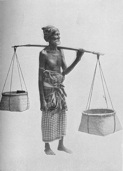 Pingo Carrier, c1890, 1910 od Alfred William Amandus Plate