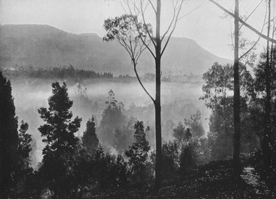 Ranní mlha vycházející v Nuwara Eliya, c1890, 1910 od Alfred William Amandus Plate