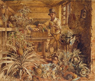 Zahradník v kůlně s ananasem a různou zeleninou (pero, inkoust a wc na papíře) od Alfred William Hunt