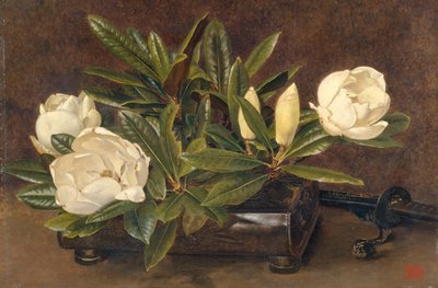Magnolie, 1867-1920 od Alfred William Parsons
