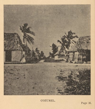 Cozumel od Alice Dixon Le Plongeon