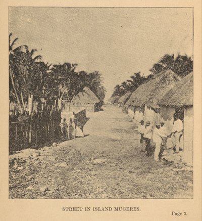 Ulice v Isla Mujeres od Alice Dixon Le Plongeon