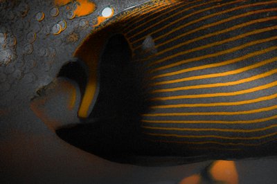 Blasen und Streifen von Alice Gur-Arie