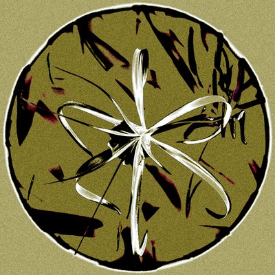 Goan Schönheit von Alice Gur-Arie